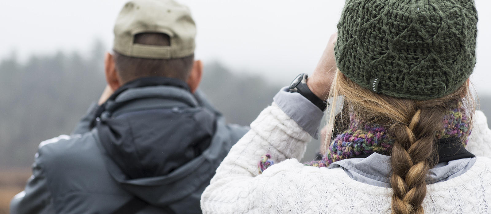Winter Birding in Cades Cove