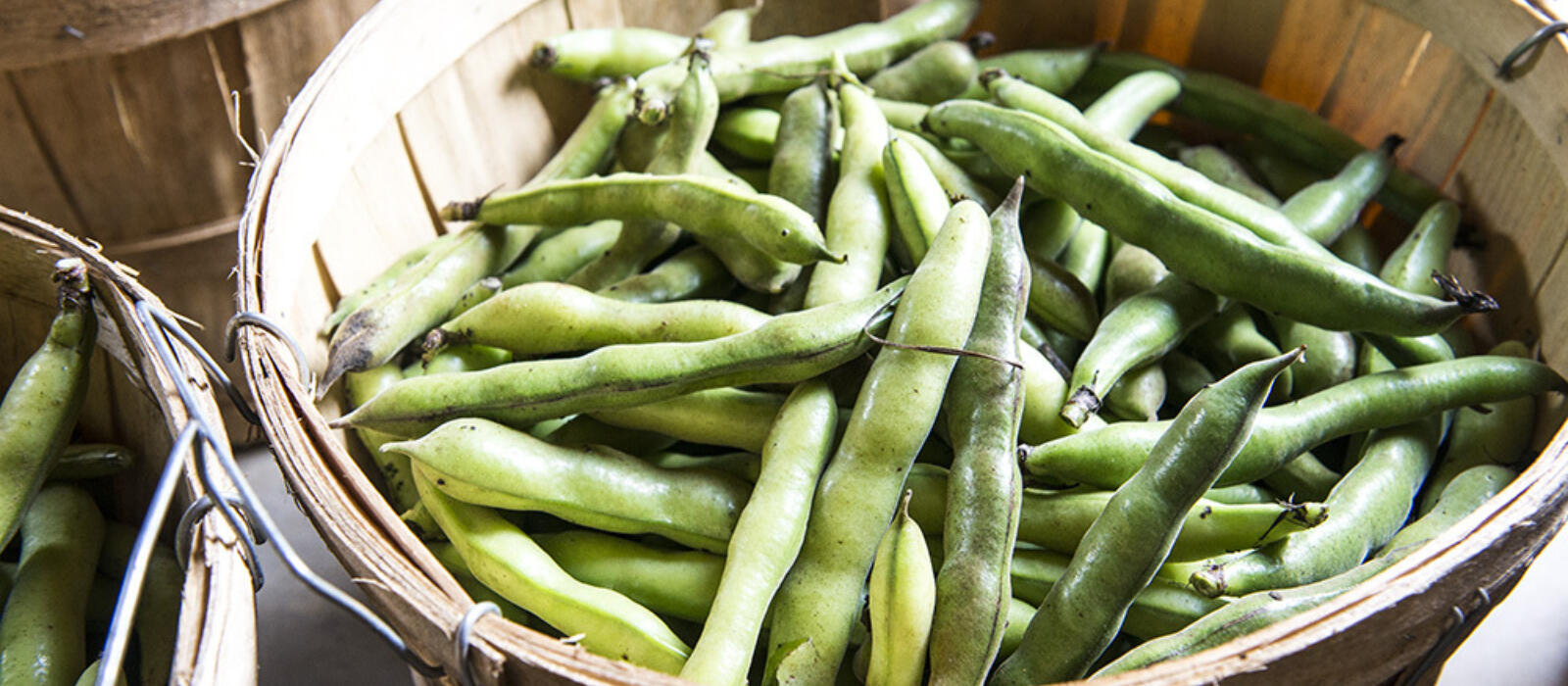 Stove Pipe Peas and the Grove Pepper