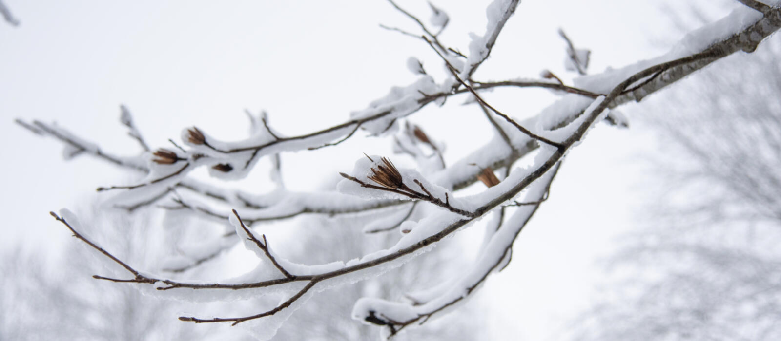 Reflect and Move Forward