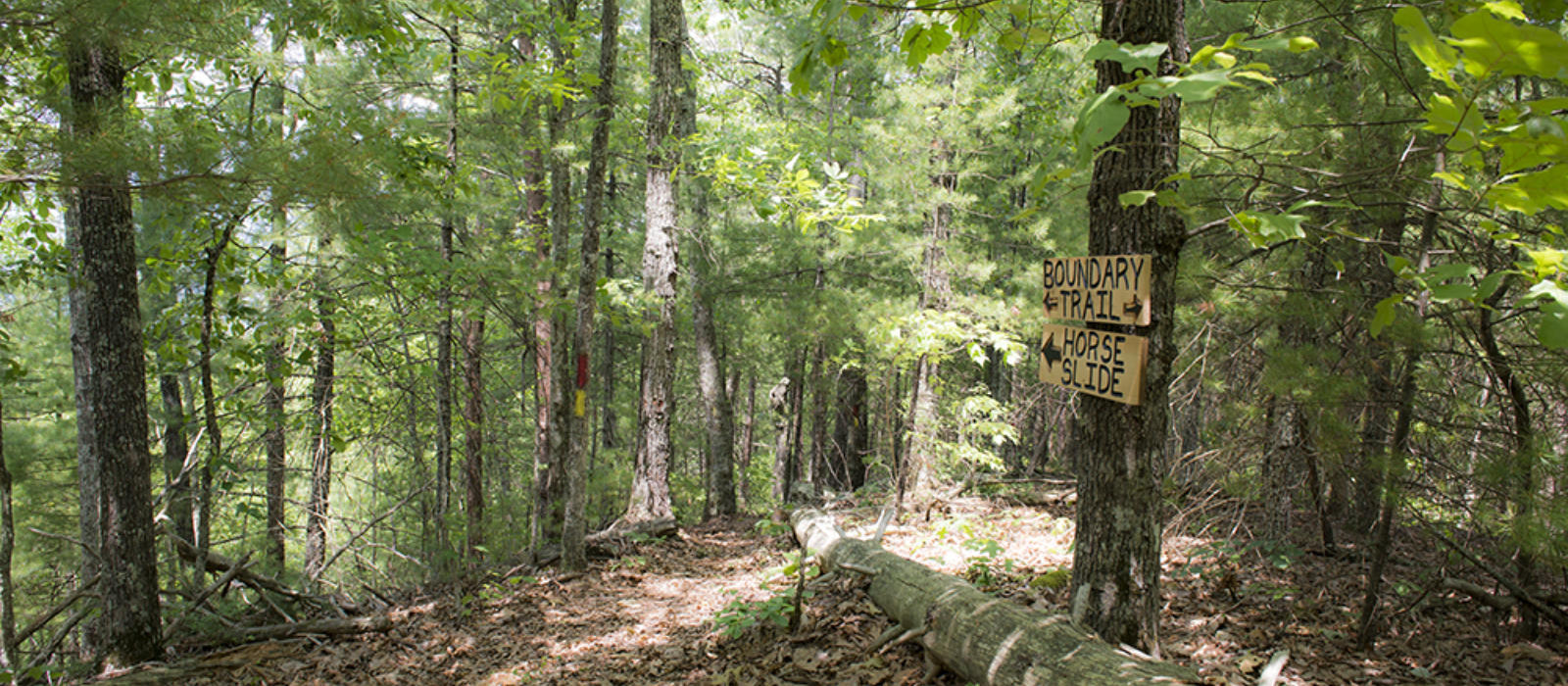 Featured Hikes