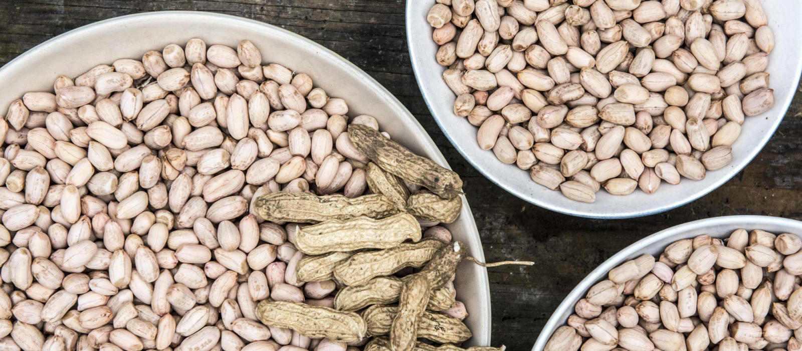 The Pearl River County Peanut