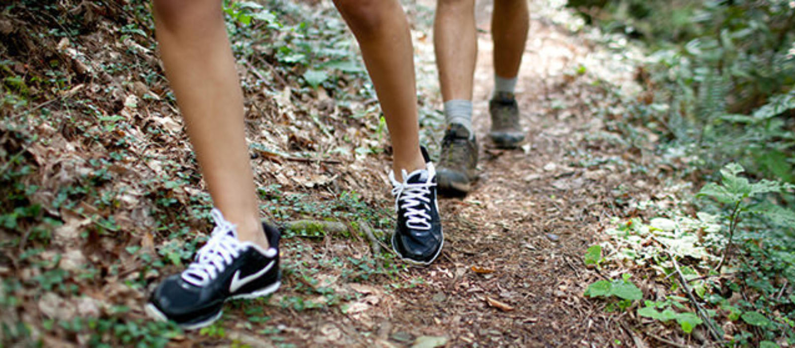 Keep Your Eyes up this Fall