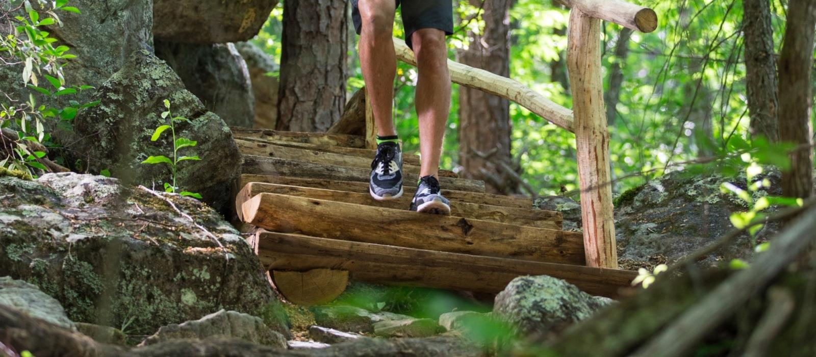 Hit Your Stride on the Trail