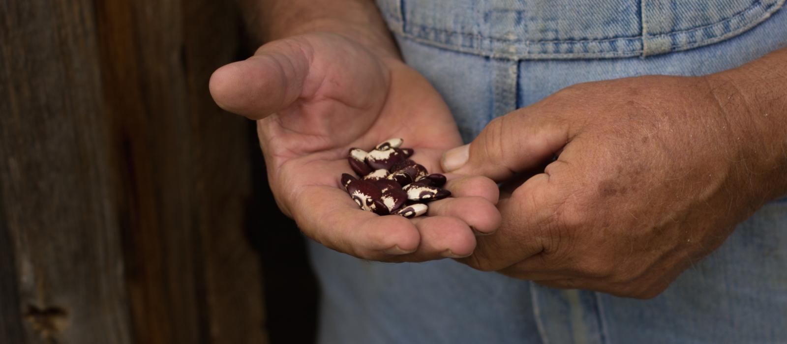 Seed Collecting in Far Away Places