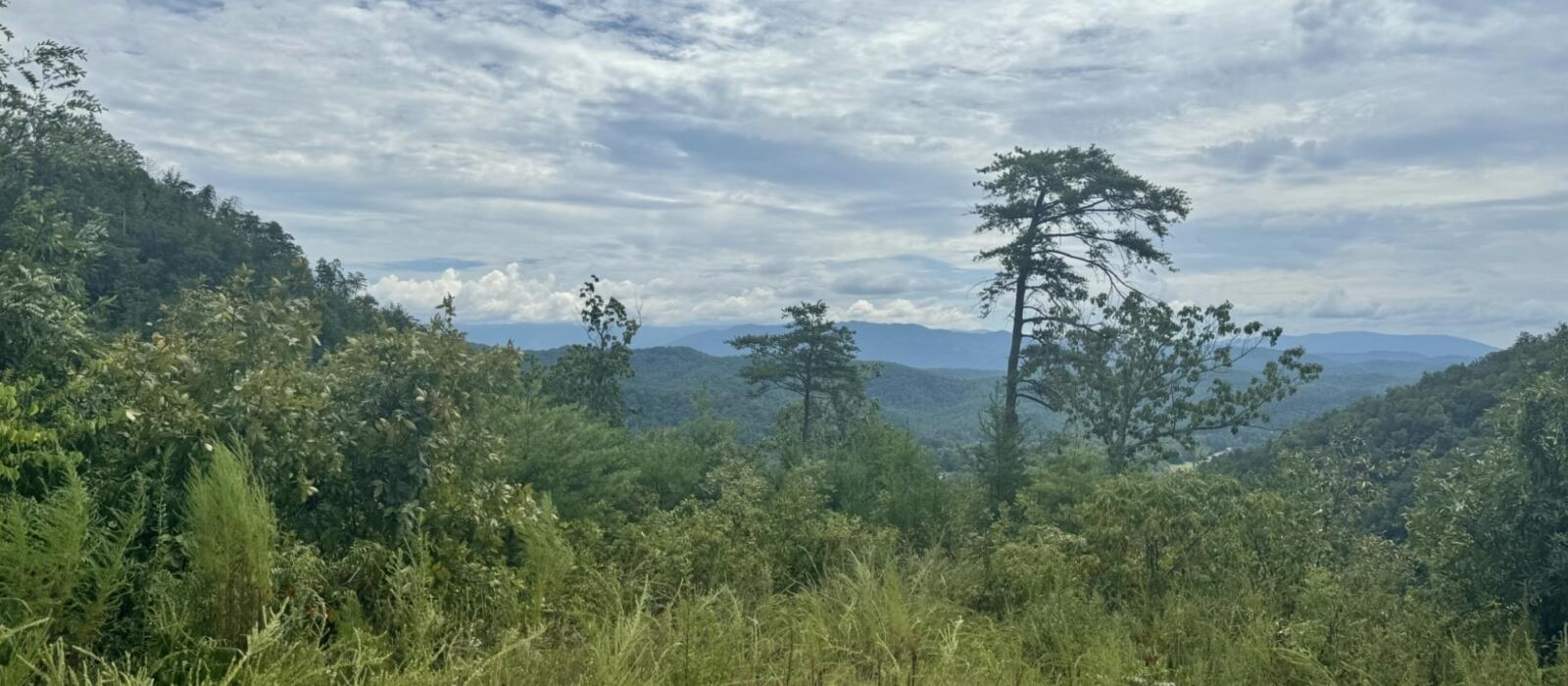 Egg White, Sweet Potato and Smoked Turkey Frittata