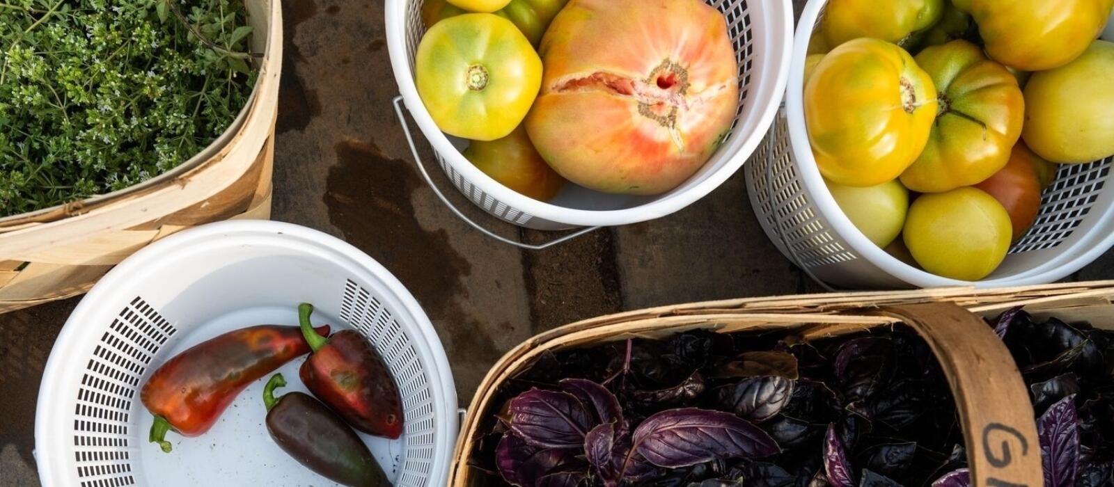 Keeping Our Agricultural History Alive