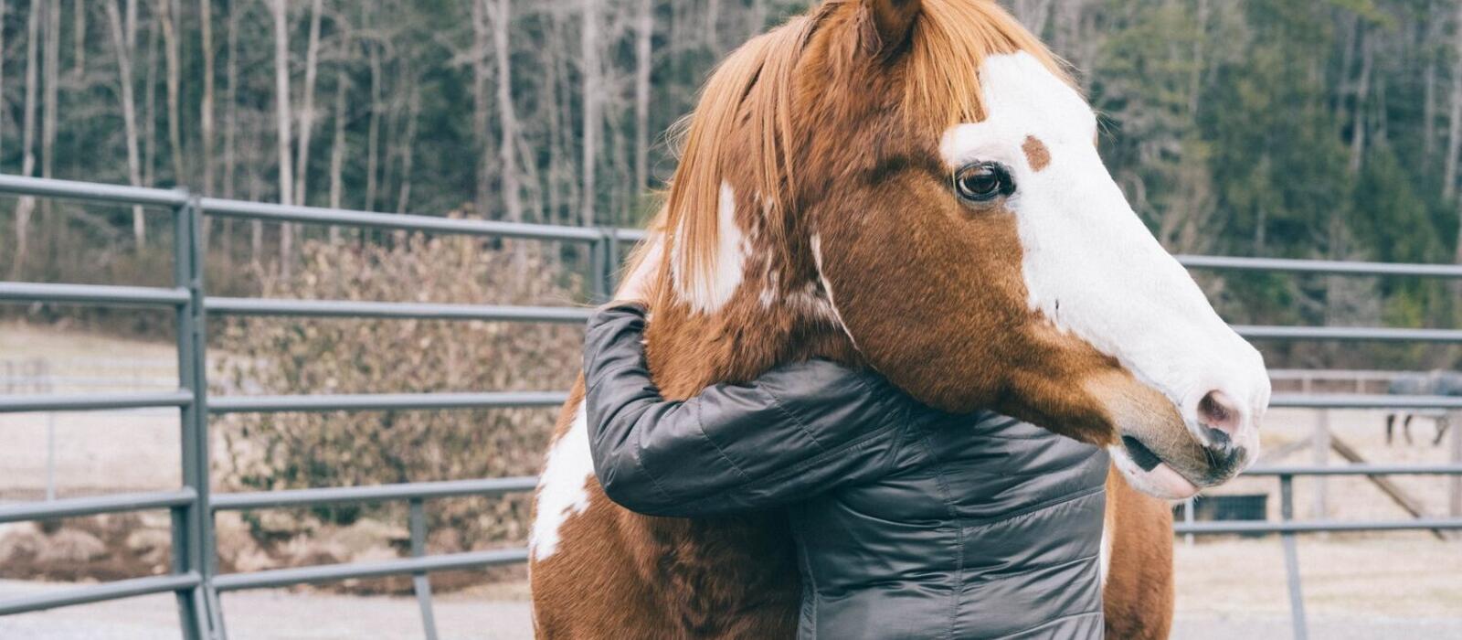 An Unexpected Partner