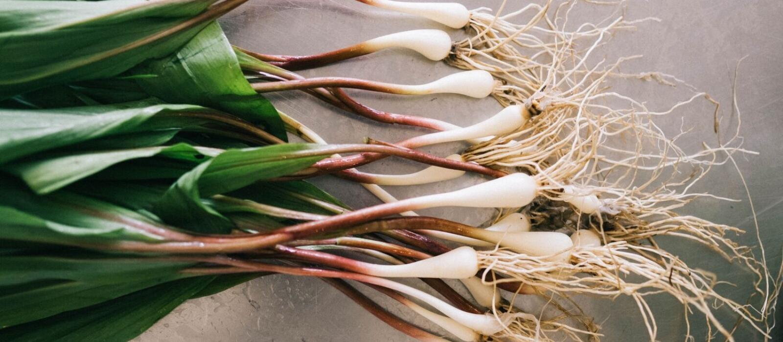 From Ground to Gibson