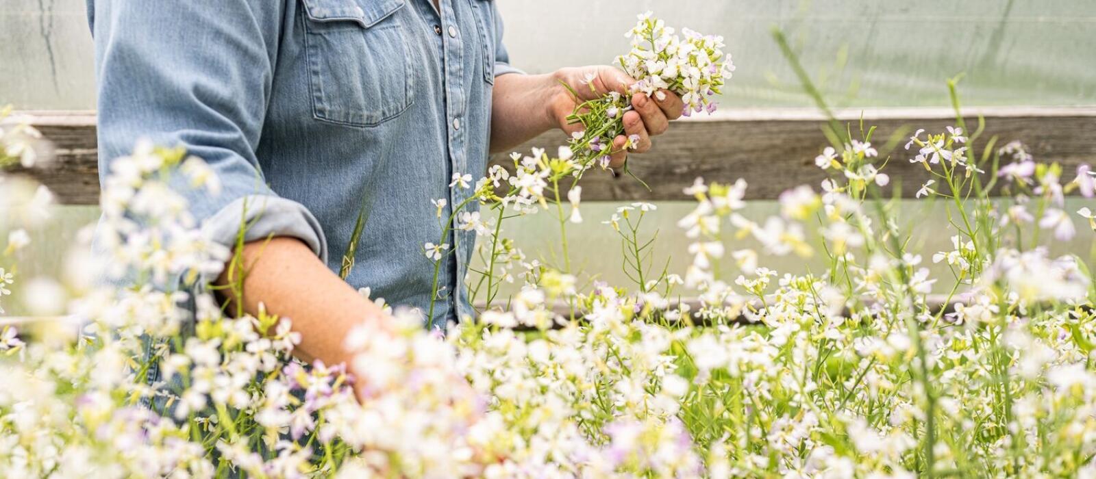 Spring in the Garden