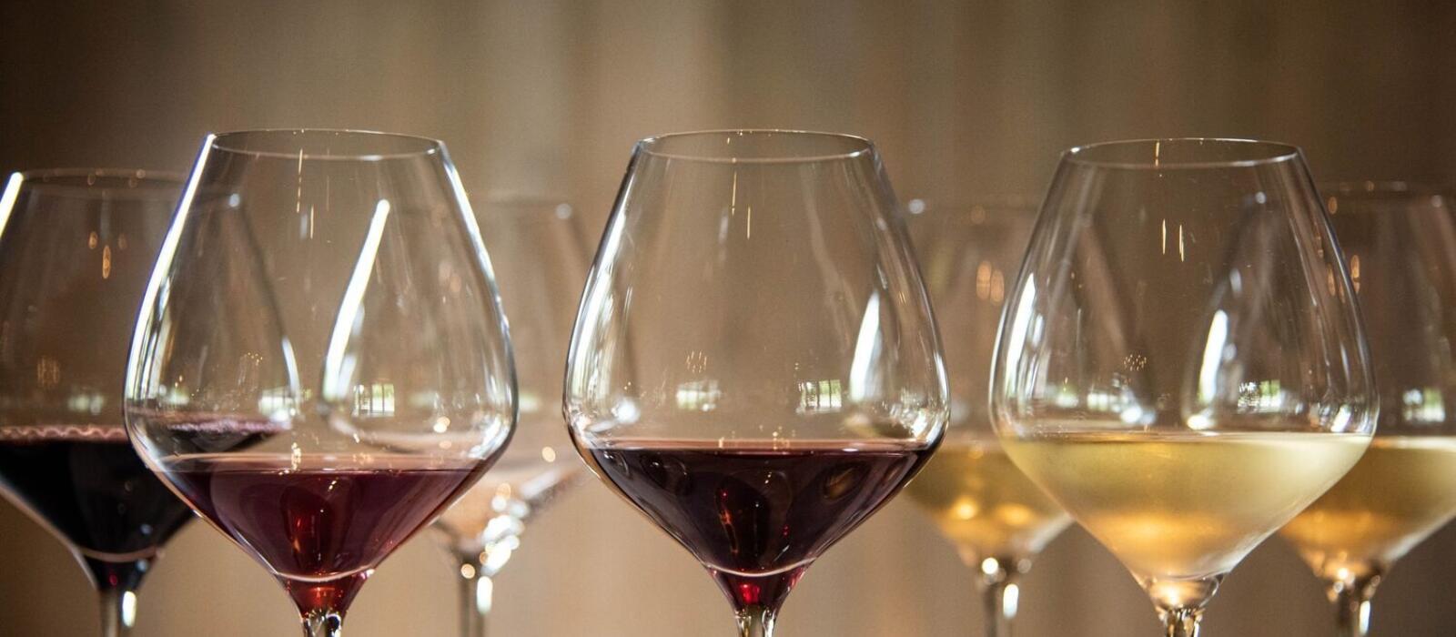 Sip Through the Season