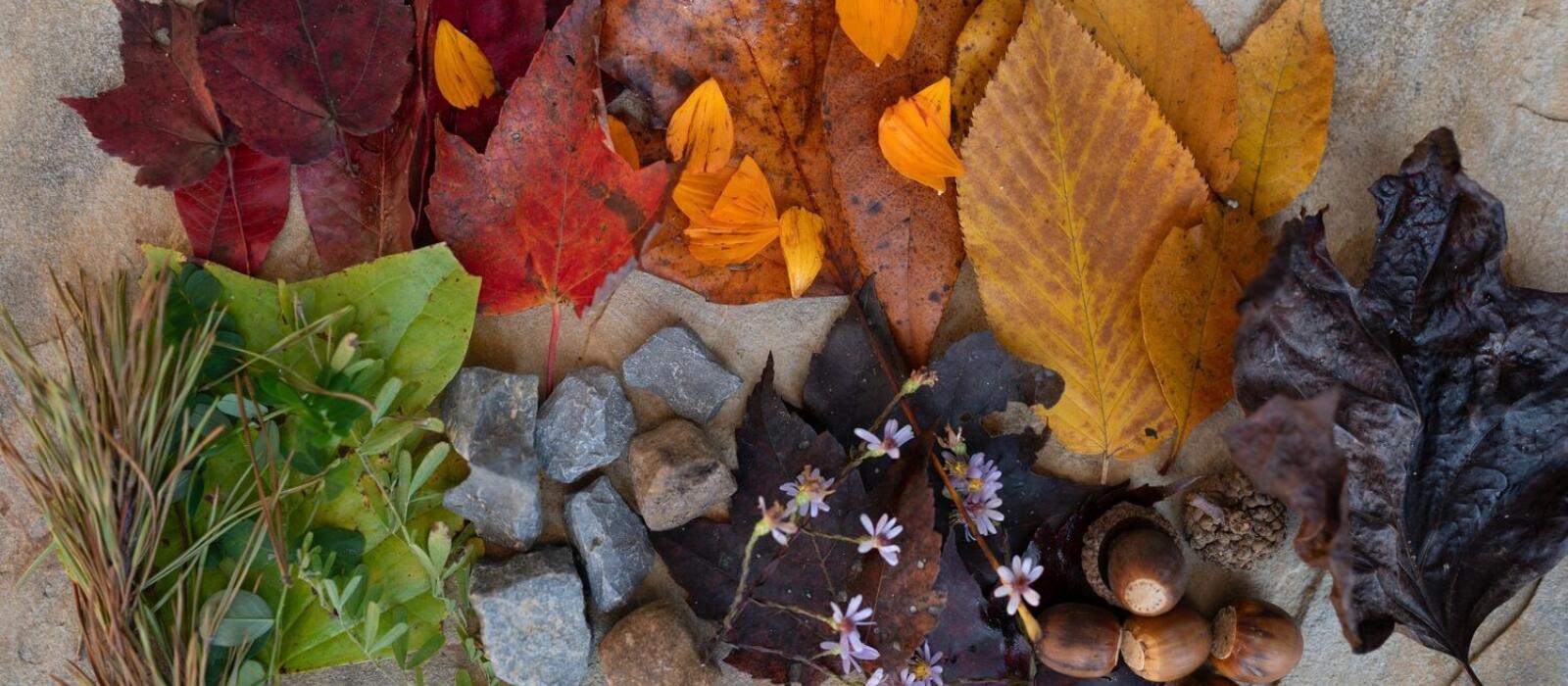 Rainbow Scavenger Hunt