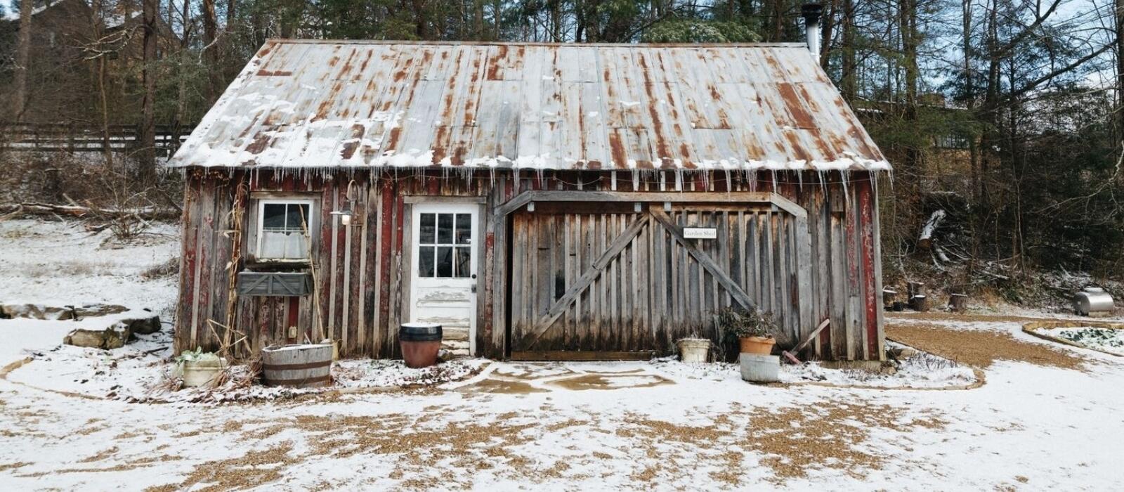 The Gardening Daydreams of the Winter Season