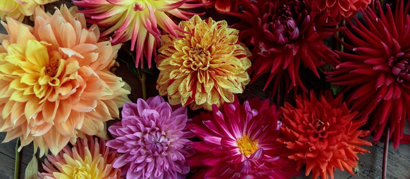 Summer to Fall Floral