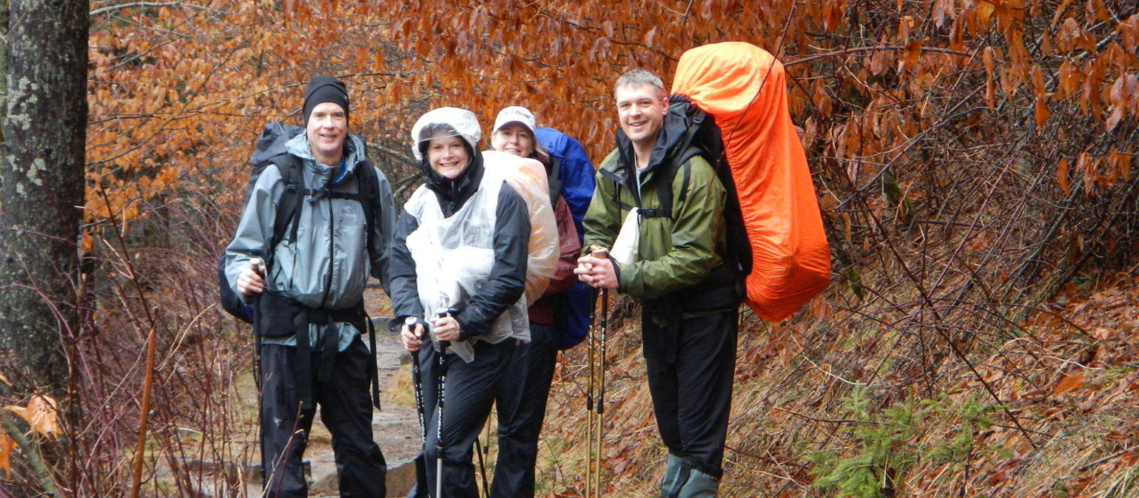 Hike Alum Cave Trail