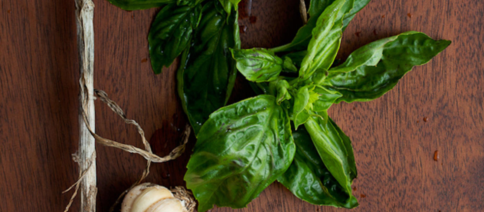 Seeds of Love and Plants From Our Garden