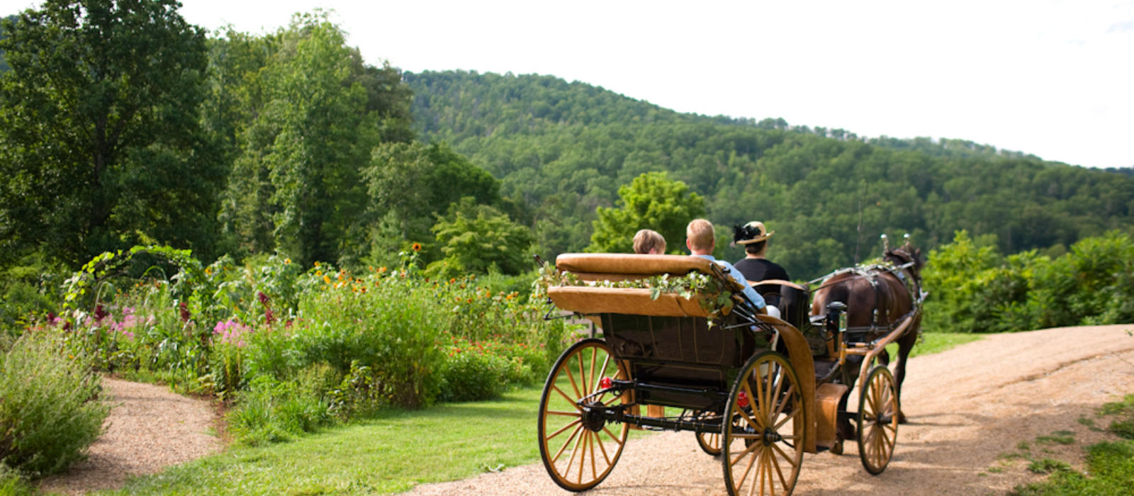 Saving the Land, Many Hoofprints at a Time