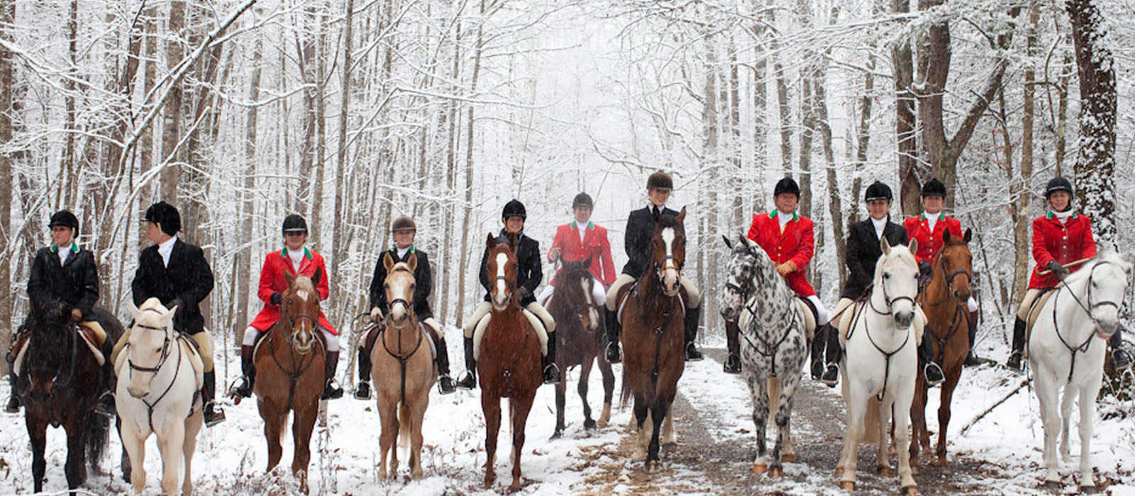 Challenge and Passion of the Hunt