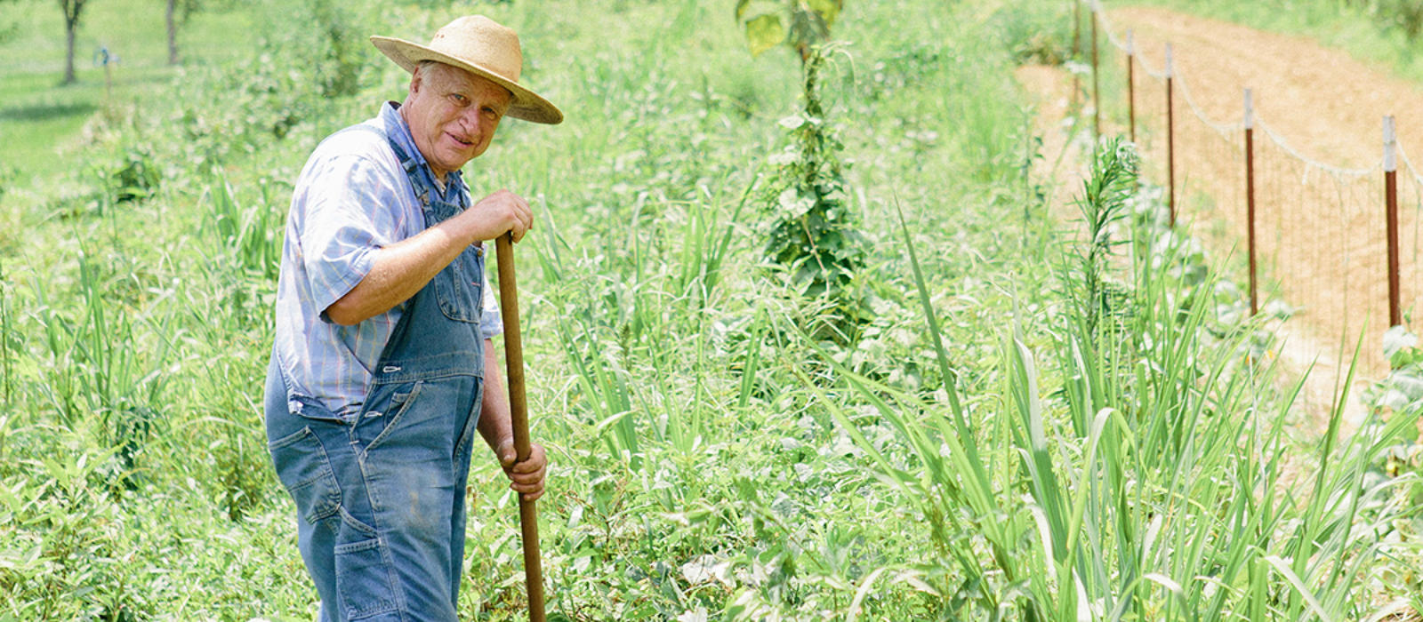 The Character of the Seasons