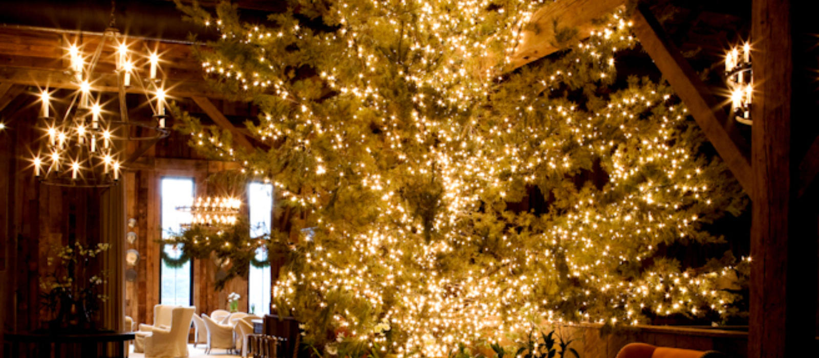 Top 10 with Chef Joseph Lenn for December