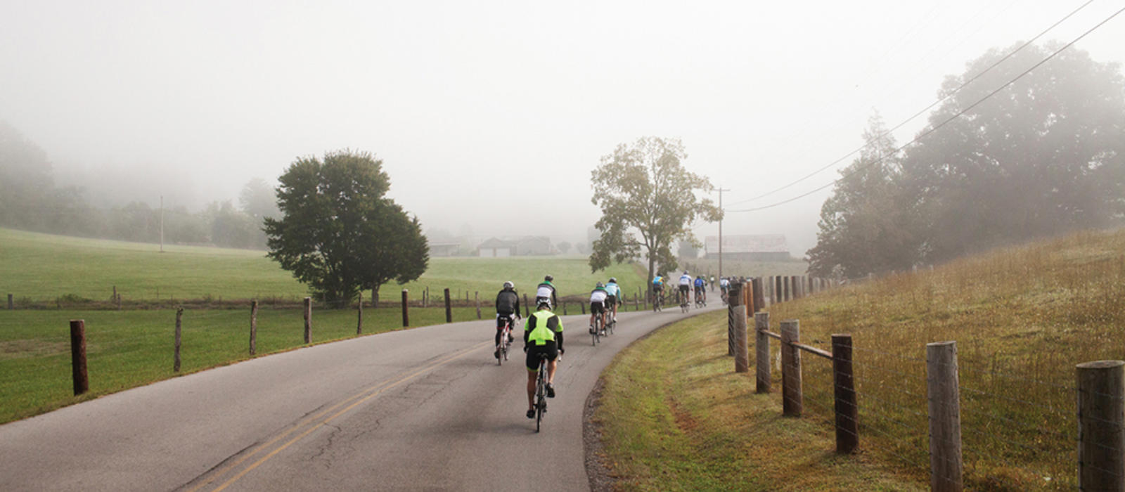 Making the Best You this Year