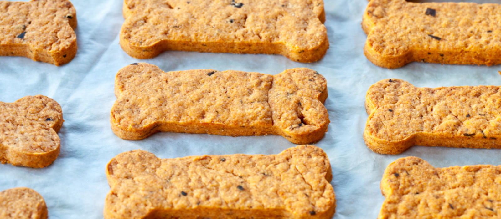 Blackberry Dog Biscuits