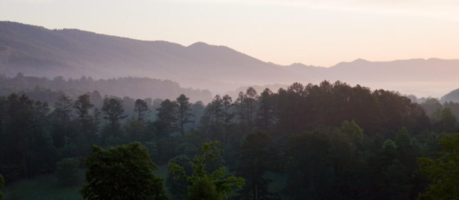 The Celebration of a New Season