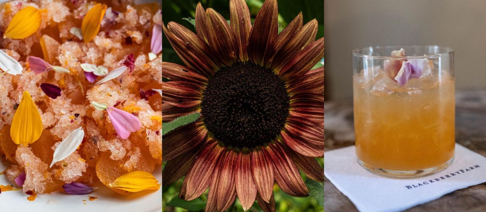 5 Edible Flowers with Unique Uses