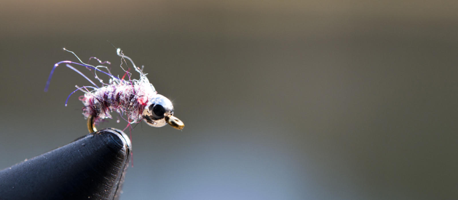 Planning for a New Year