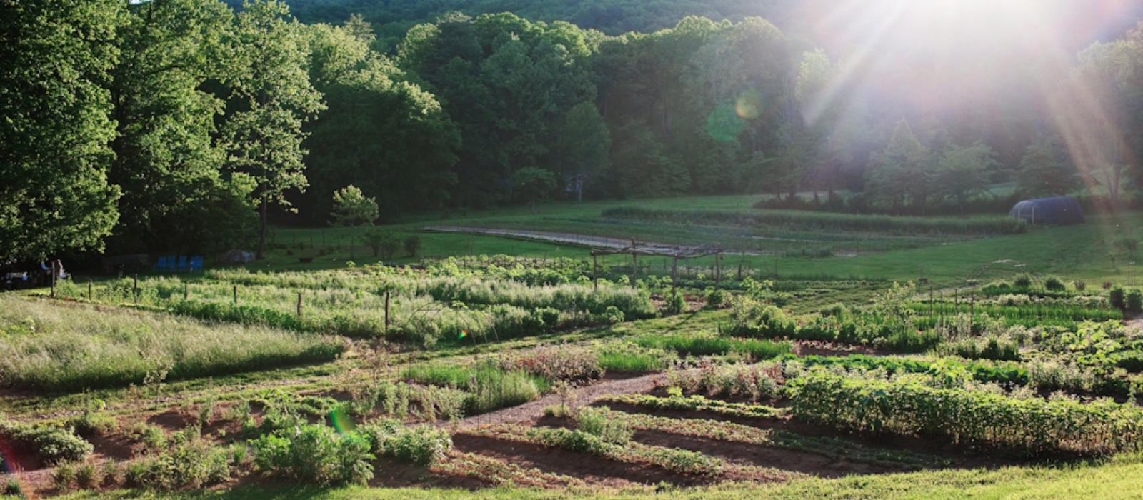 August is Garden Month