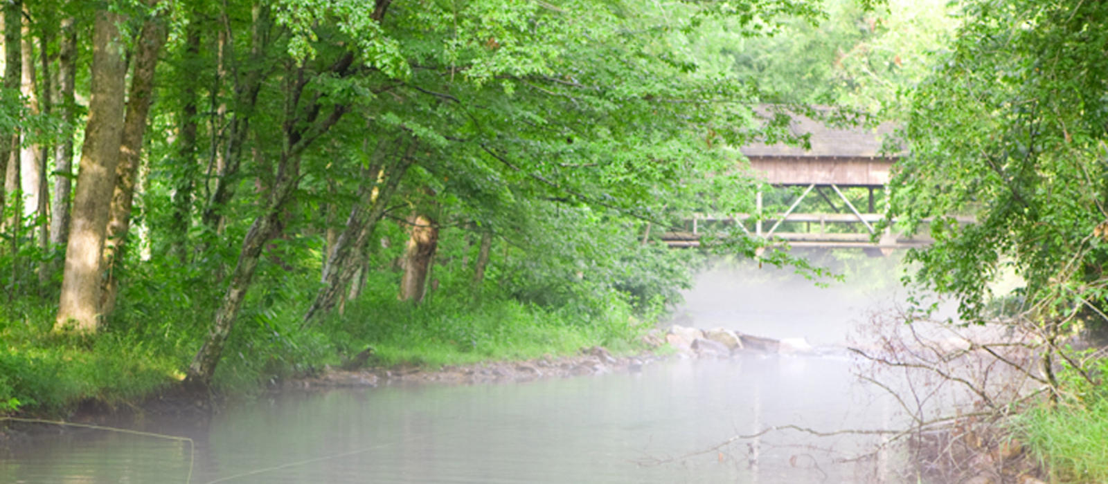 East and West on Hesse Creek...It's all Good at the Farm