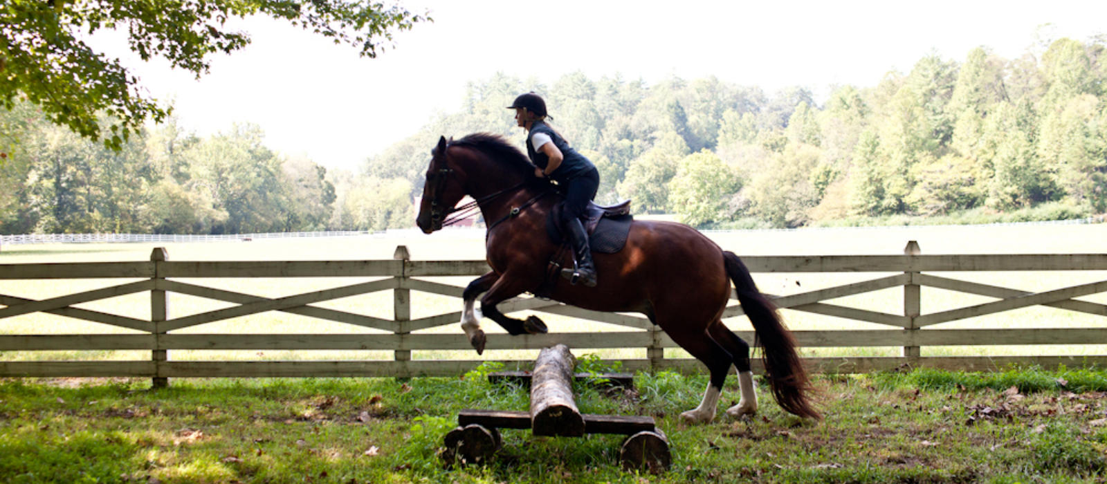 Overcoming Equine Obstacles: Real and Imagined!