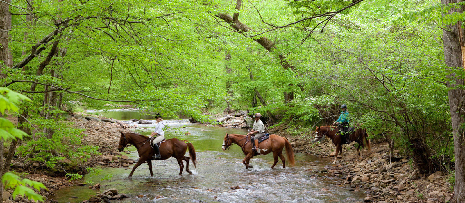 Riding Safely on the Trail