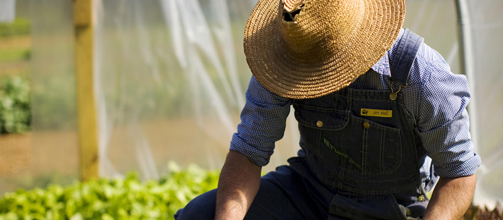 Spring 2015 Newsletter