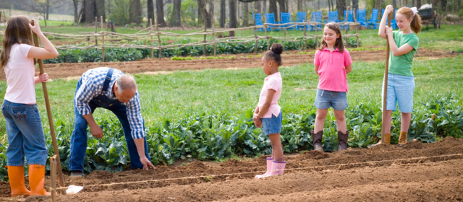 How to Get Your Kids to Eat Their Vegetables