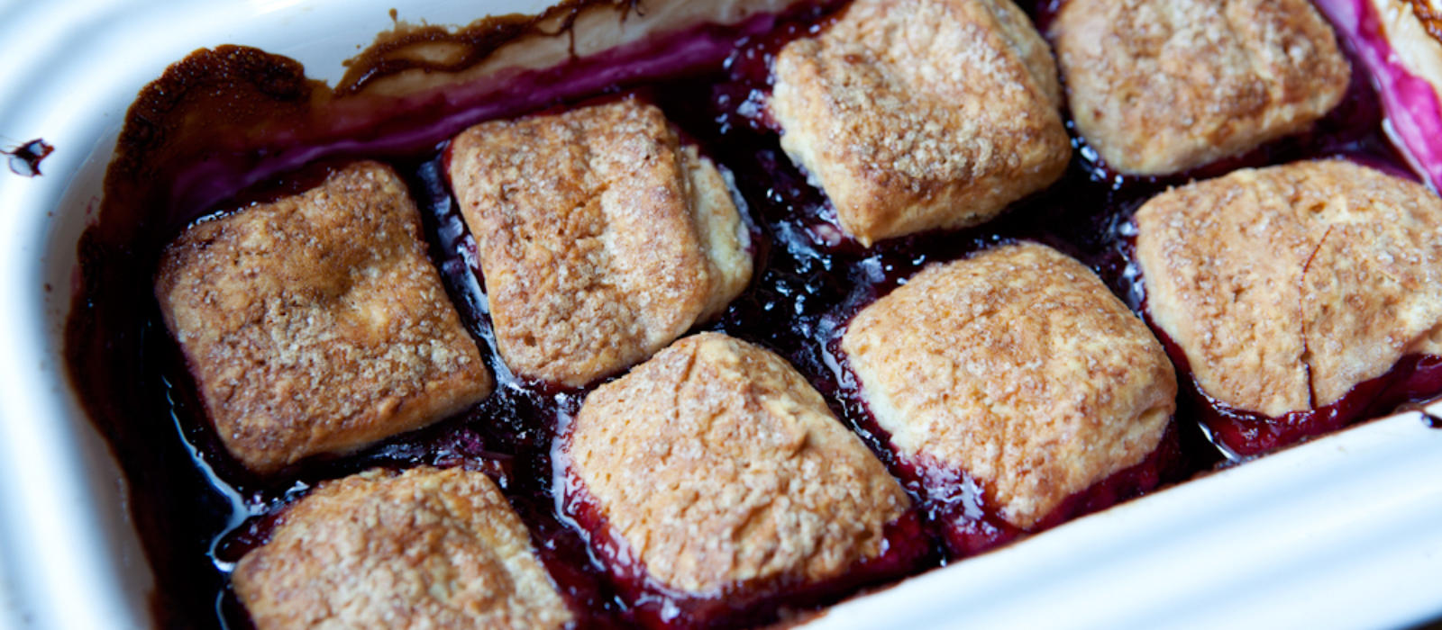 Blueberry Cobbler