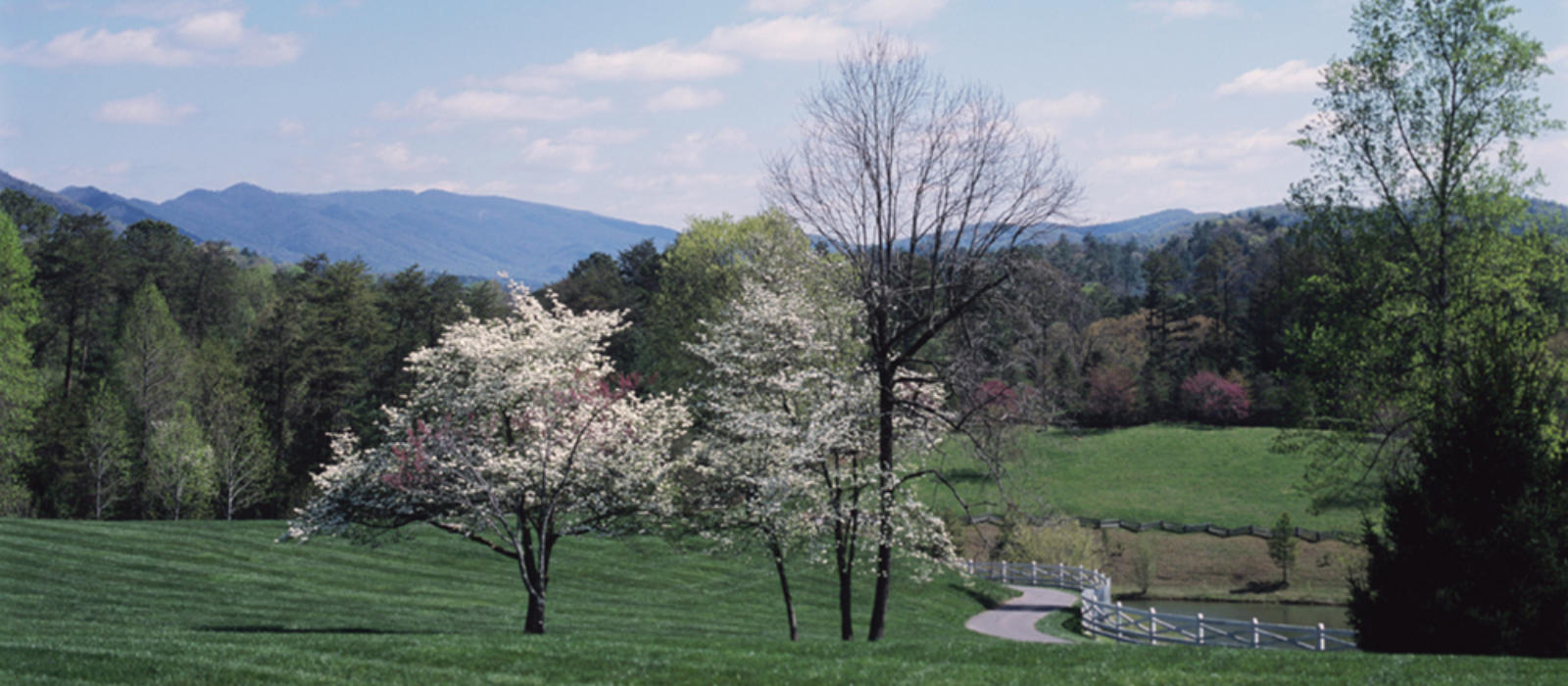 Savor New Tastes in a Old Favorite