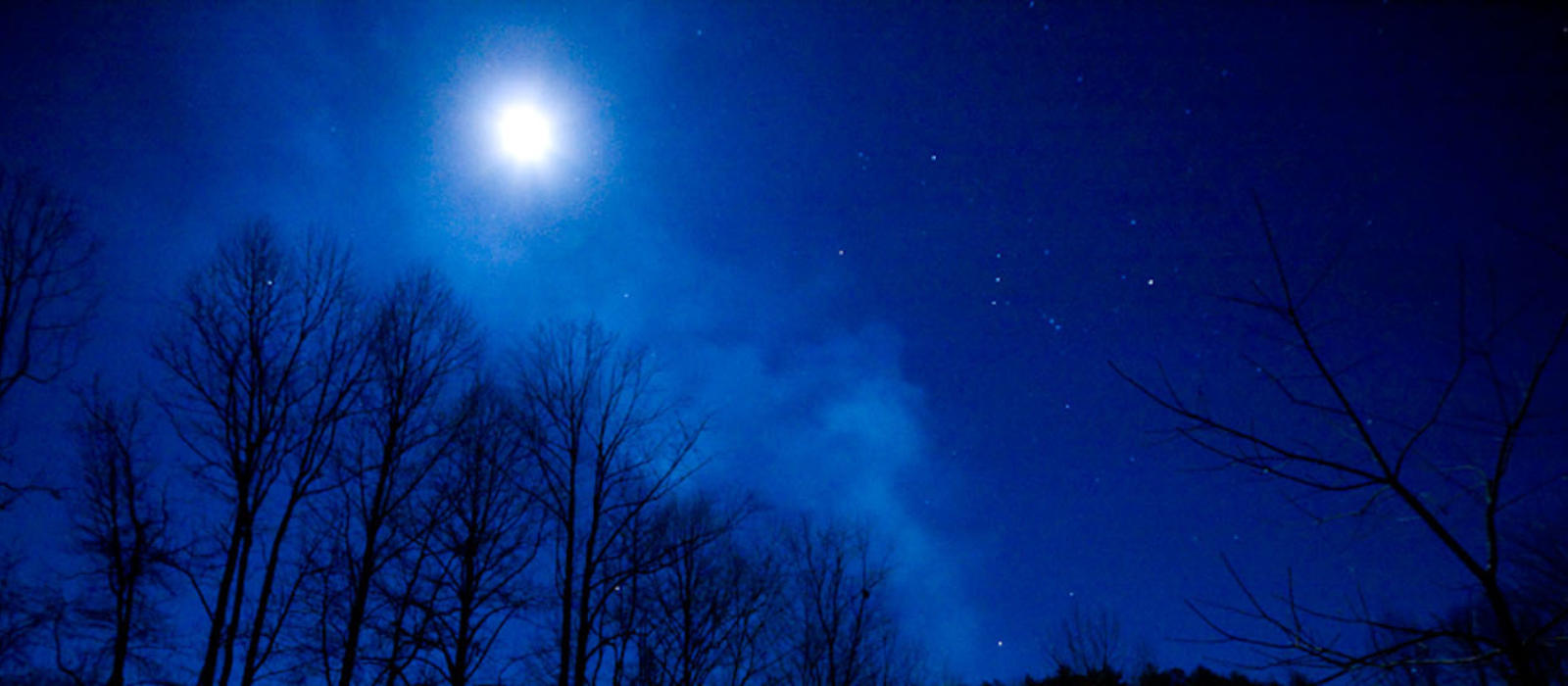 Fireflies at Elkmont