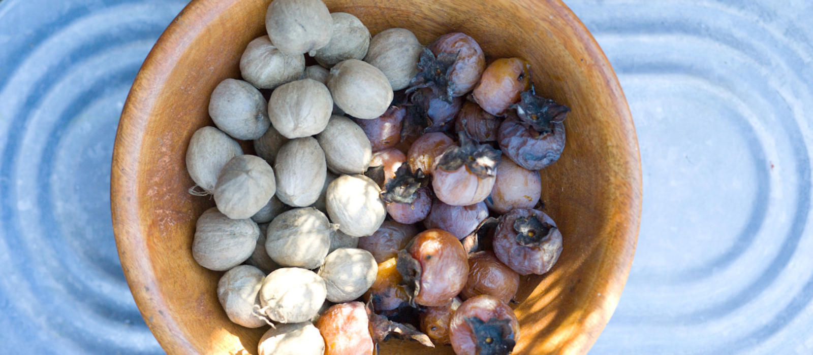 The leaves, they are changing!