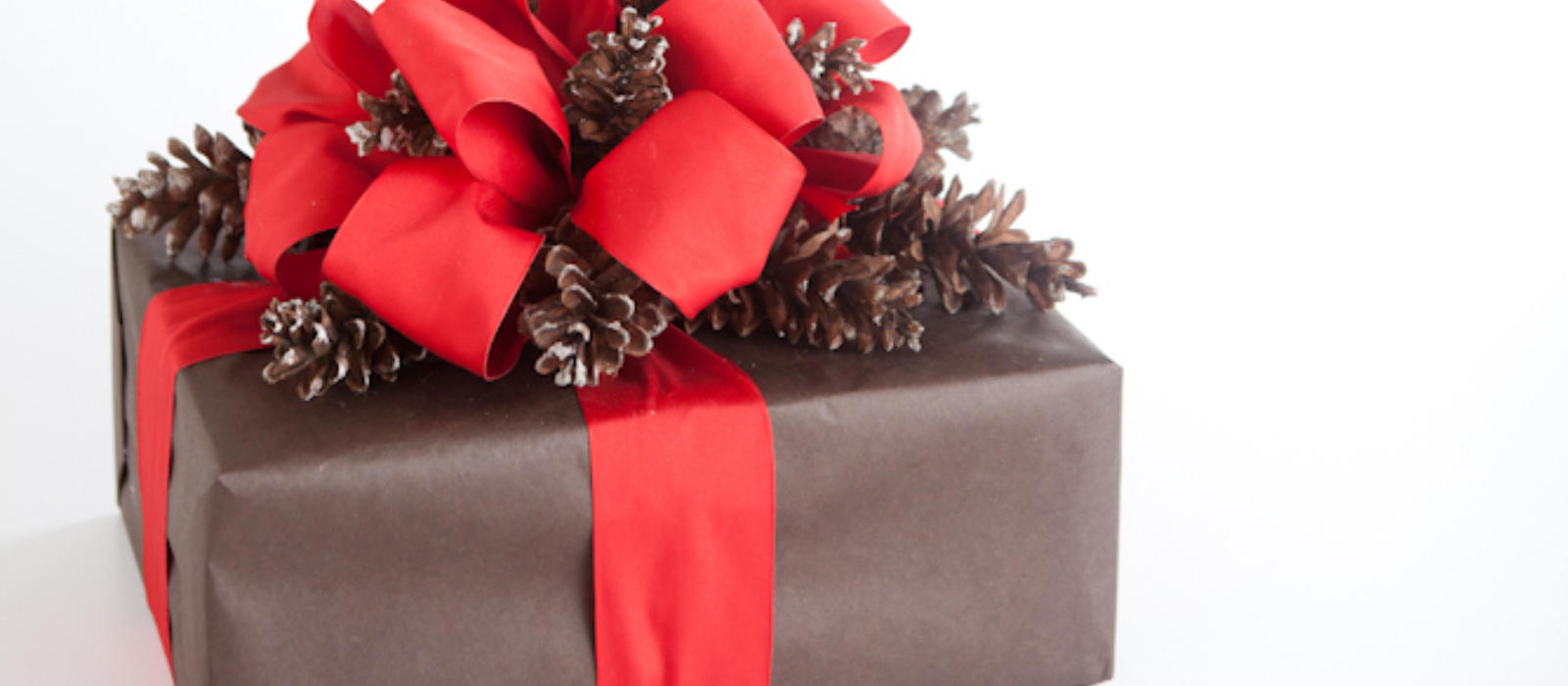 Blackberry Farm Holiday Gift Wish List