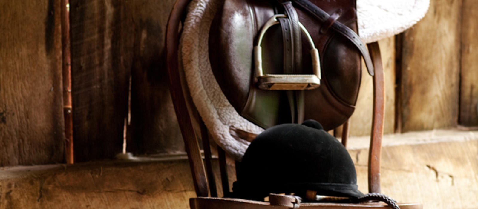 Picking a Winner: The Thoroughbred!