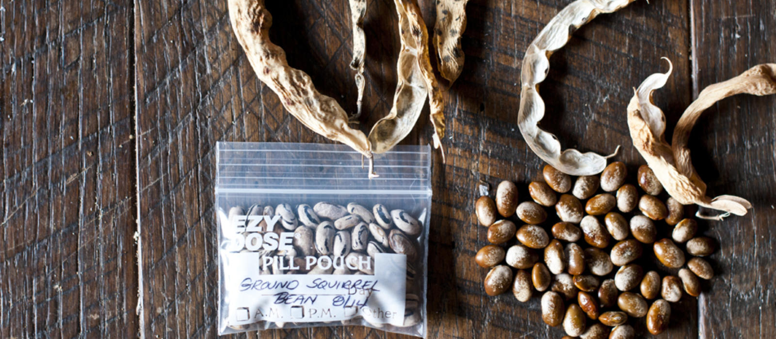 Seed Time at Blackberry Farm