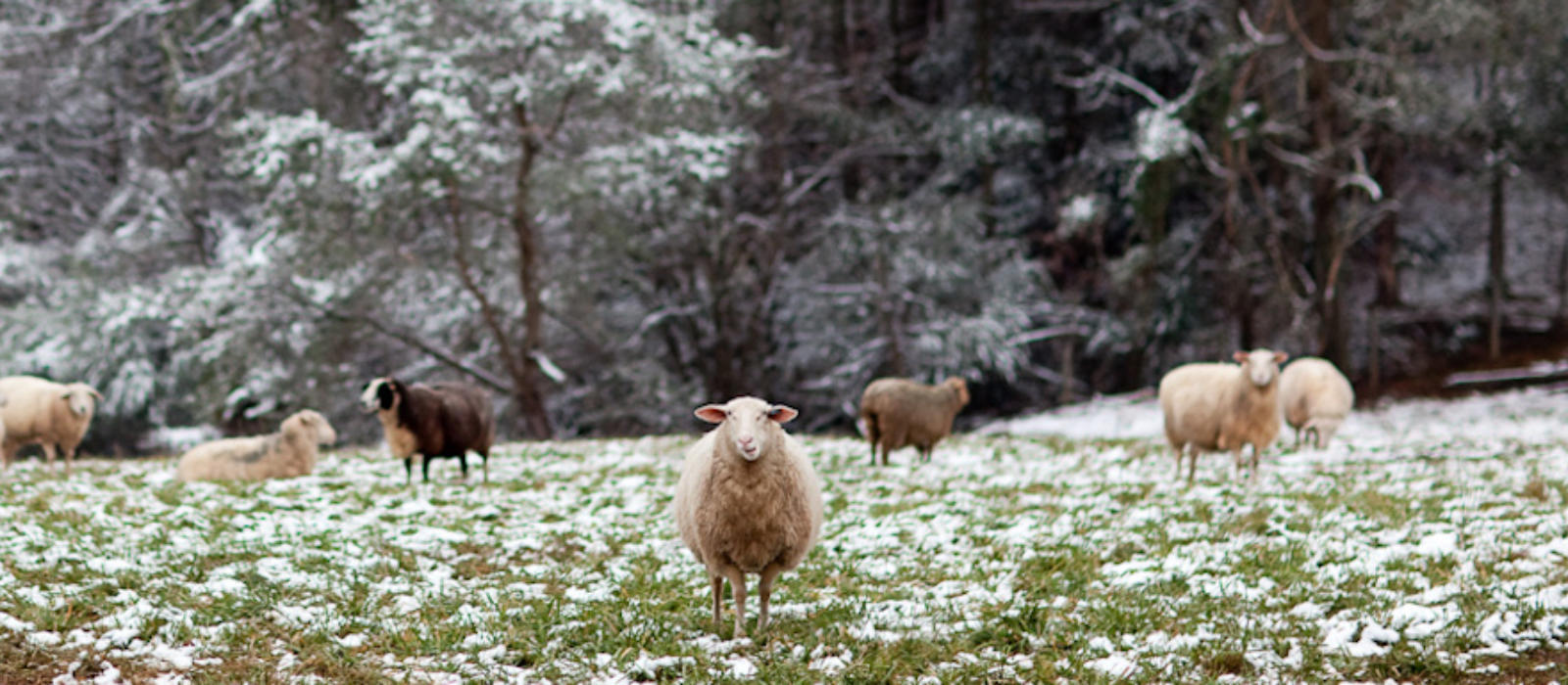 What we Love about February