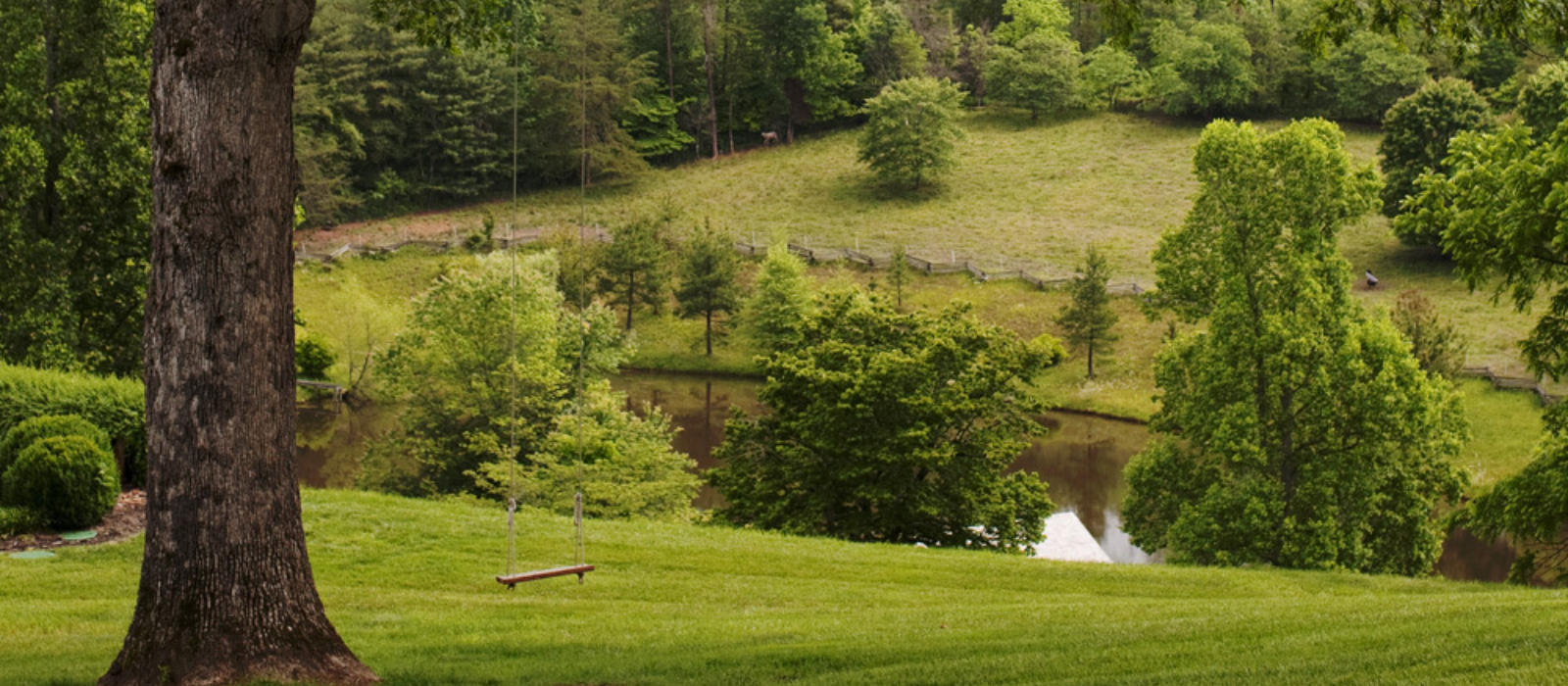 Blackberry Bucket List for May