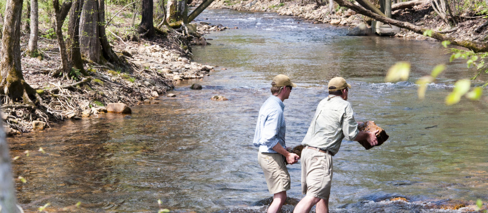 Ultimate Conservationist