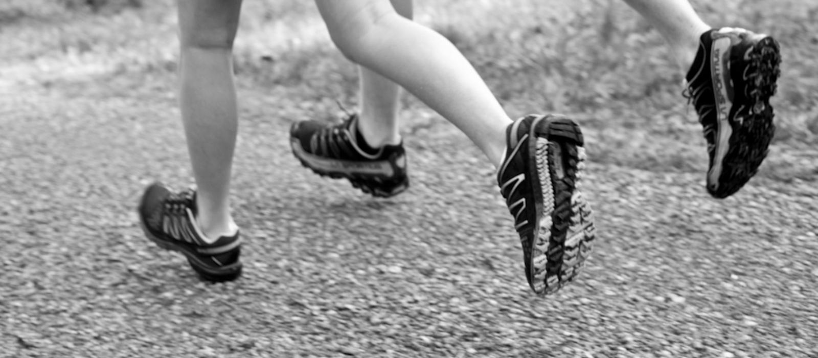 Fast, Focused and Fun