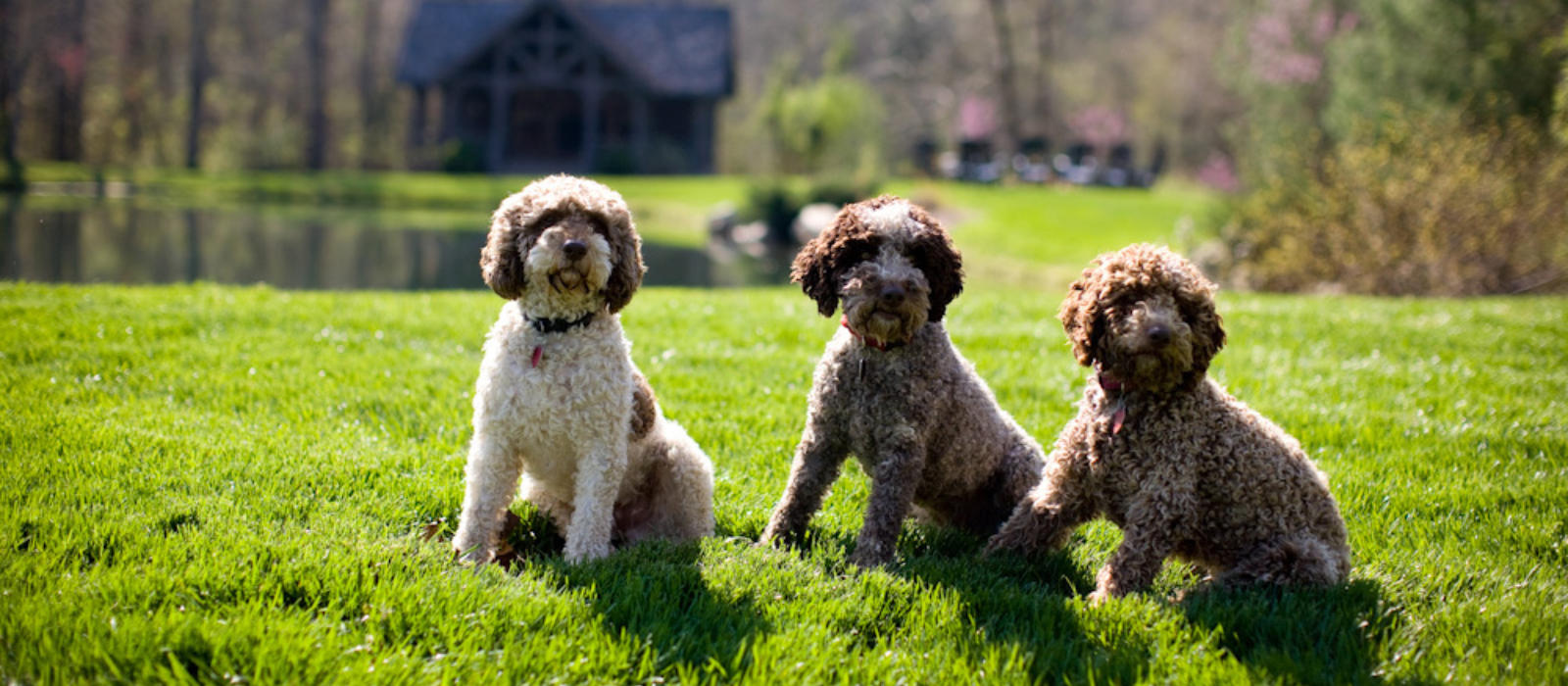 September Bucket List