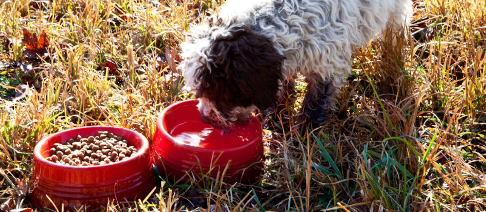 Le Creuset Kitchen Sessions with Garden Manager Jeff Ross