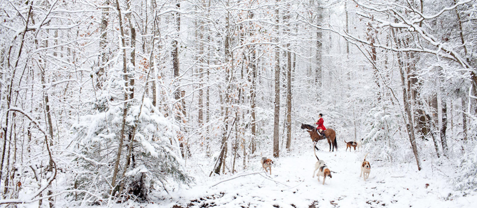 Bundle Up and Ride and Let it Snow