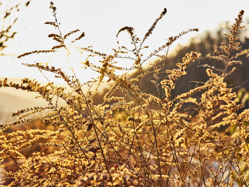 Test4