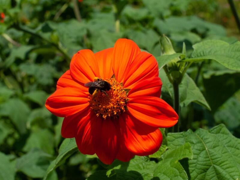 Test4